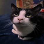 Tucker Stare